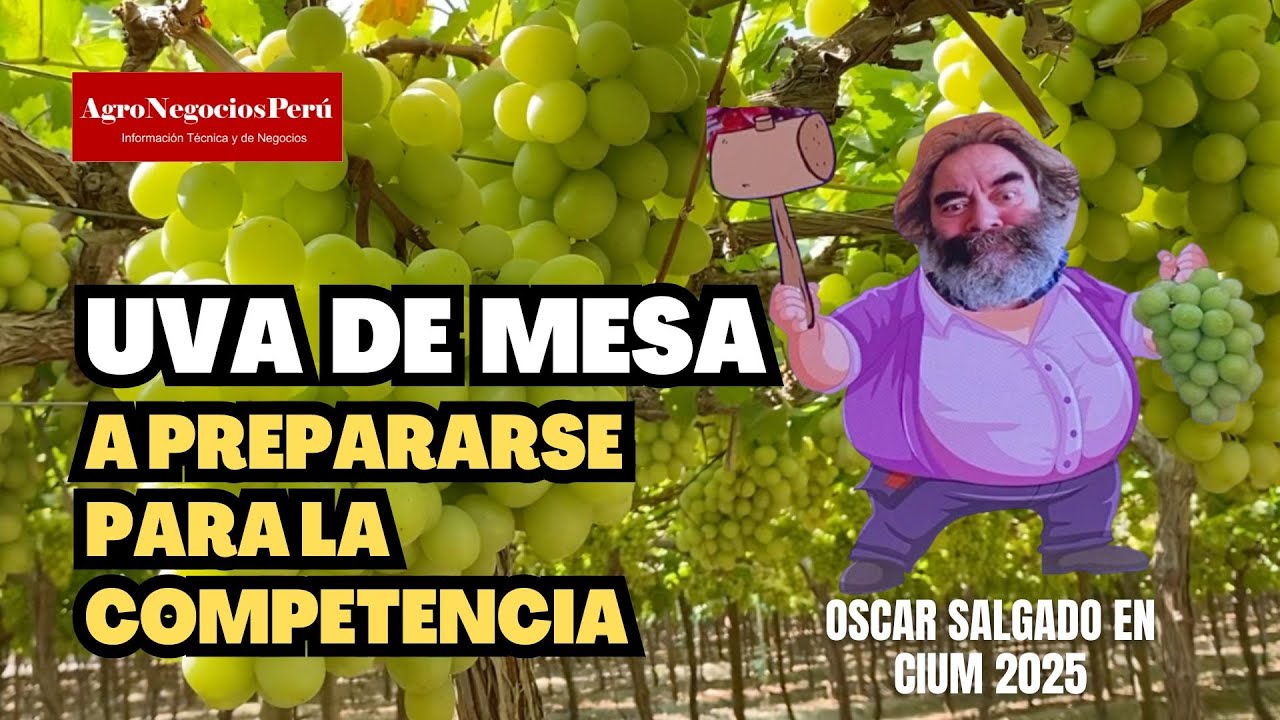 Análisis del mercado global de la uva| Oscar Salgado #CIUM 2025
