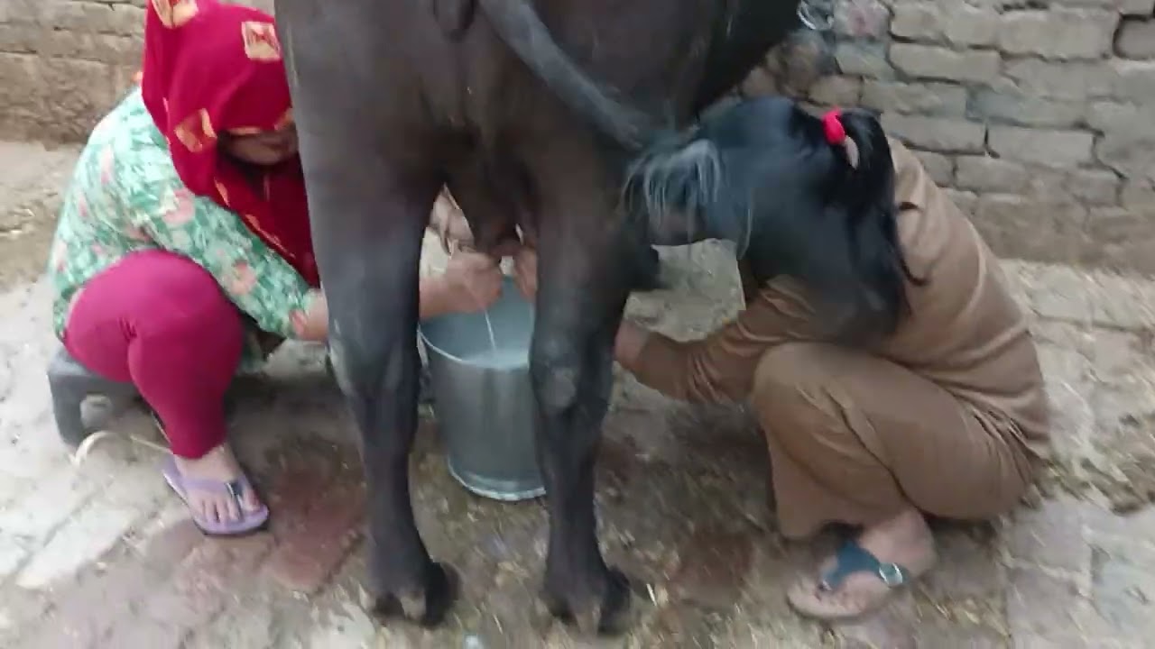 ऐसे काम चलता है हमारे घर का