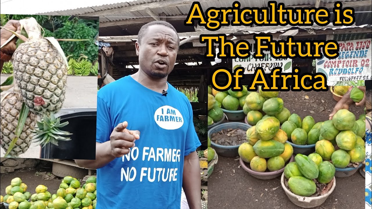 Amazing Fruit Market Along Douala- Bafoussam Highway In Cameroon.