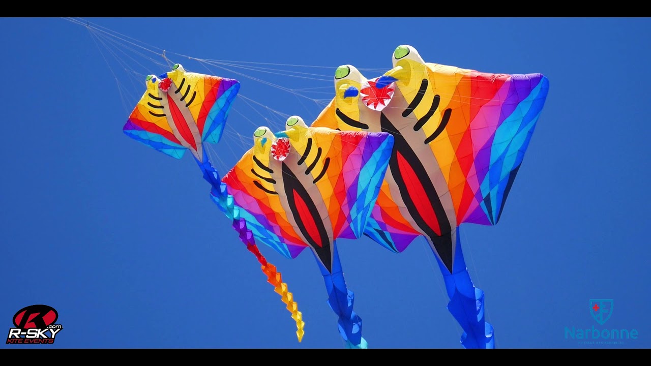 Les Natur'Ailes IKF -  NARBONNE 2K19