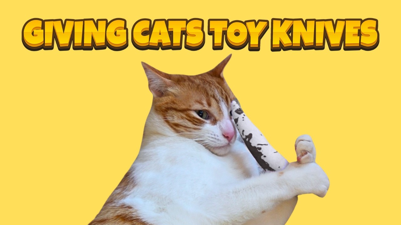 The Day I Gave My Cats Toy Knives