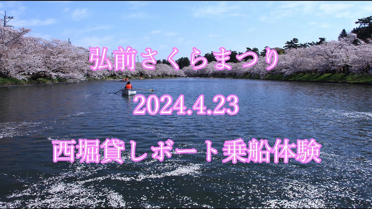 弘前さくらまつり 2024.4.23 西堀貸しボート乗船体験　Hirosaki Cherry blossom Festival  Nishibori rental boat ride