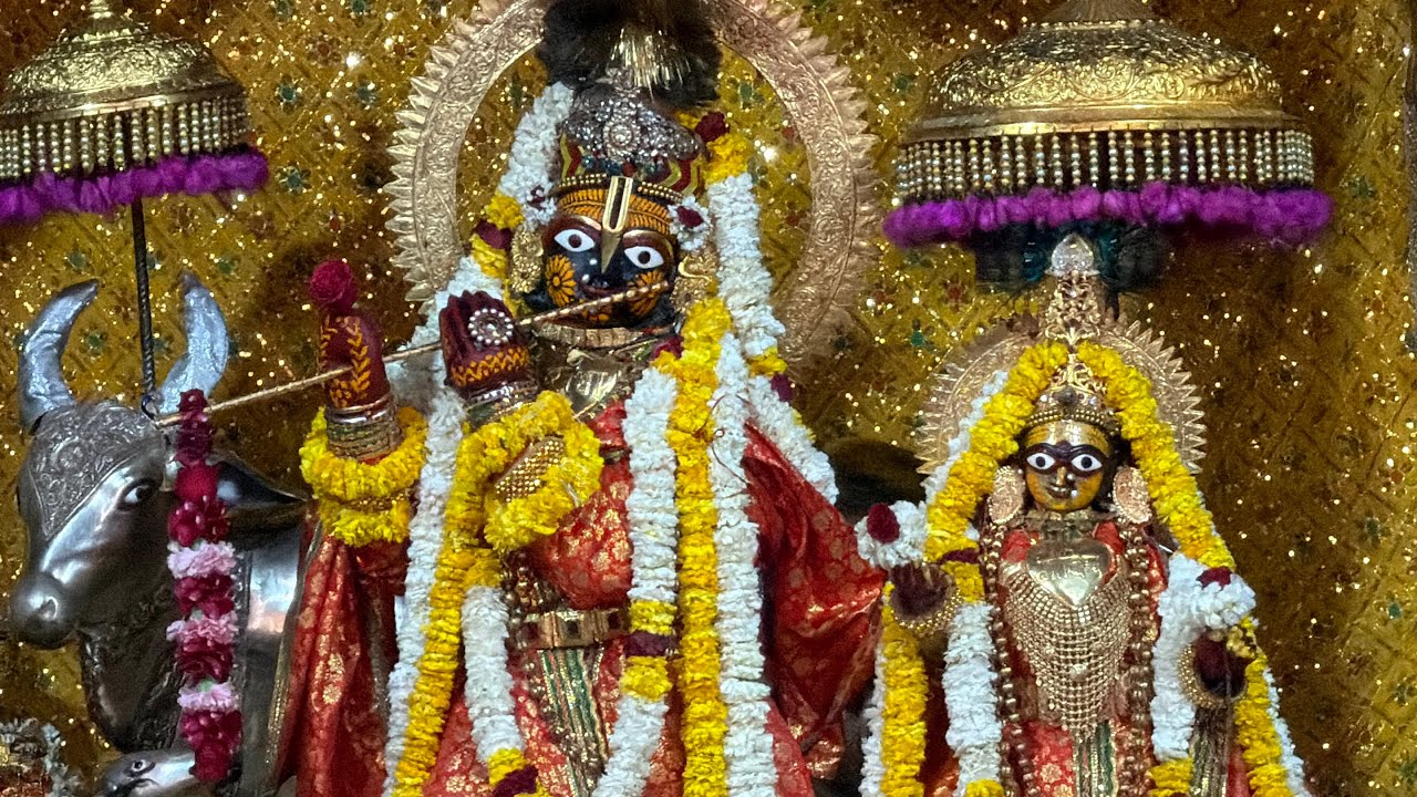 Shri Govind Dev Ji ki Gwal Jhanki श्री गोविन्द देव जी की ग्वाल आरती #15_march_2026 #sunday #gyaras 