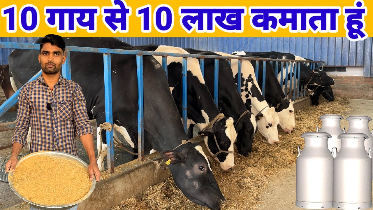 10 गाय से 10 लाख सालाना कमाई | गाय पालन व्यवसाय | Dairy Farm Business Plan 