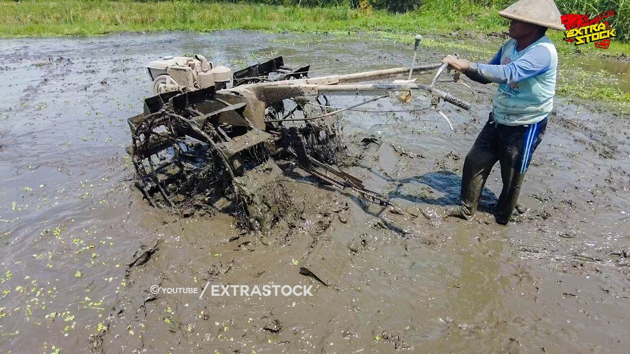 Traktor Sawah Gunakan Roda Besar Proses Garu Jadi Lebih Cepat