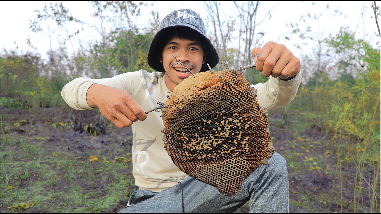 Today I came to cut wood and suddenly saw a bee , Find firewood, find bees