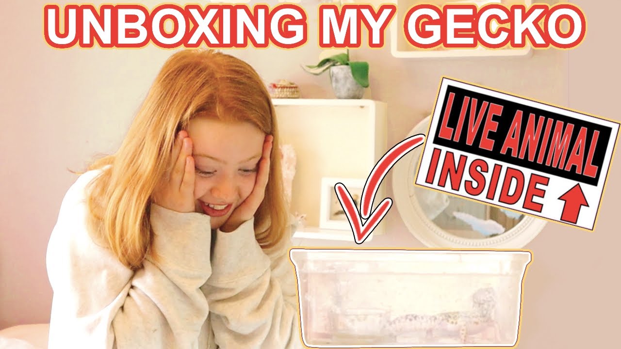 Unboxing My Leopard Gecko🦎 What I Got For My 12th Birthday #2 | Ruby Rose UK