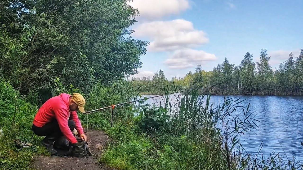 Рыбалка на торфяном карьере на карася на опарыша.