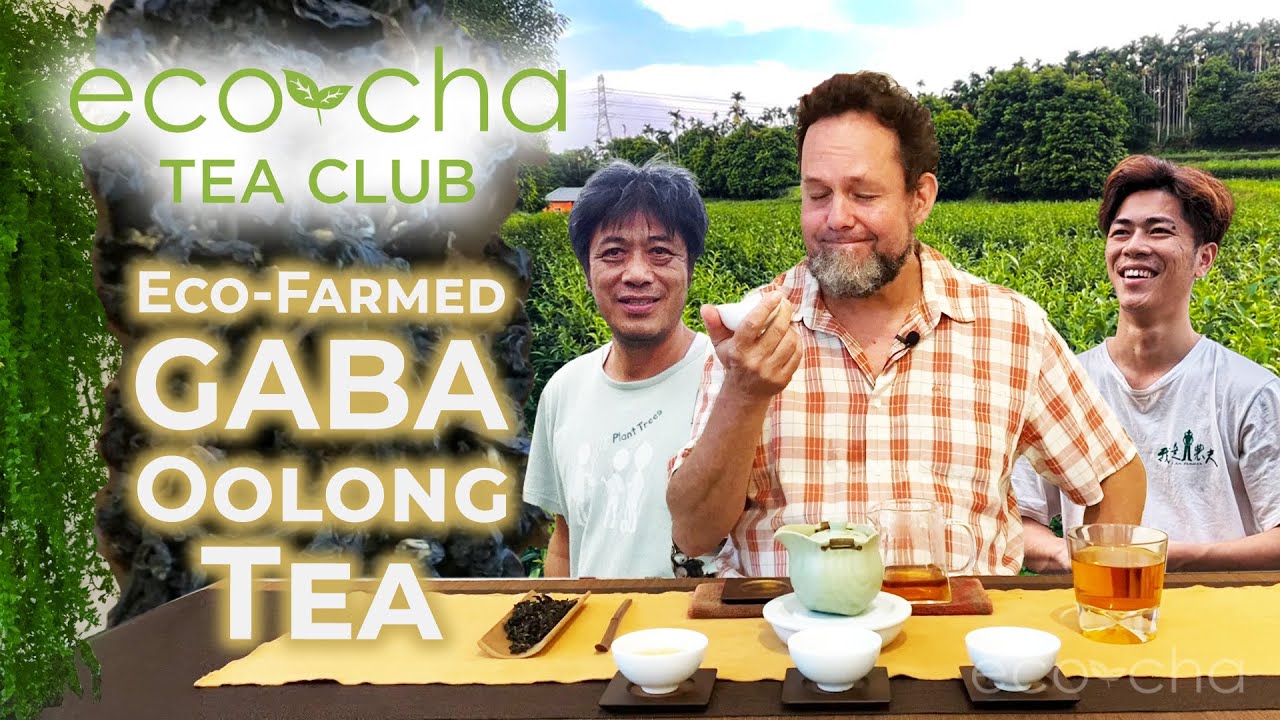 Eco-Cha Tea Club: 106 - Eco-Farmed GABA Oolong Tea | Eco-Cha Teas