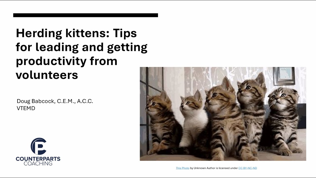 Herding Kittens: Tips for Leading and Getting Productivity From Volunteers