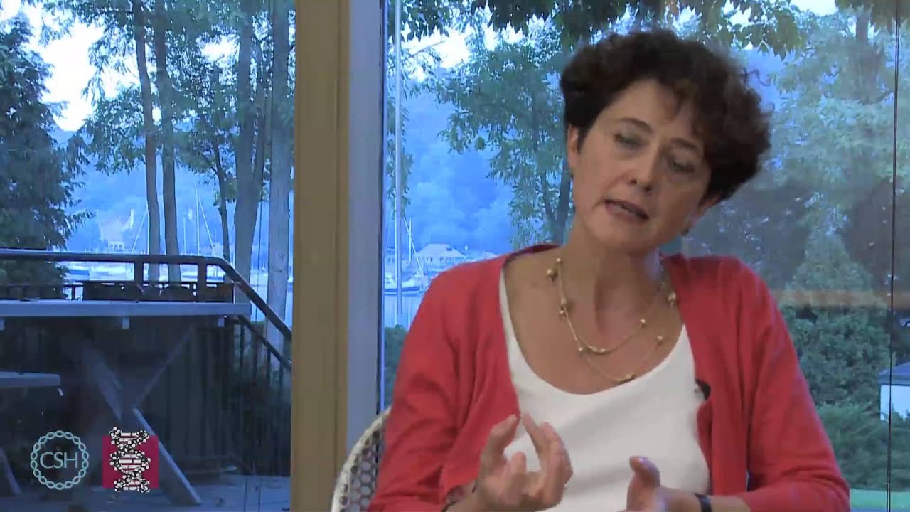 Passing on Epigenetic Changes