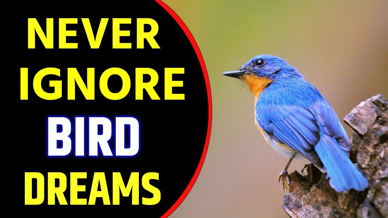 What Does Bird Dream Meaning | Dreaming of Birds | Flying Birds Dream Interpretation