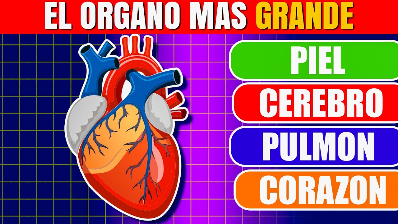 El 80% FALLA este Quiz de Cultura General | ¿Cuántas Acertas?
