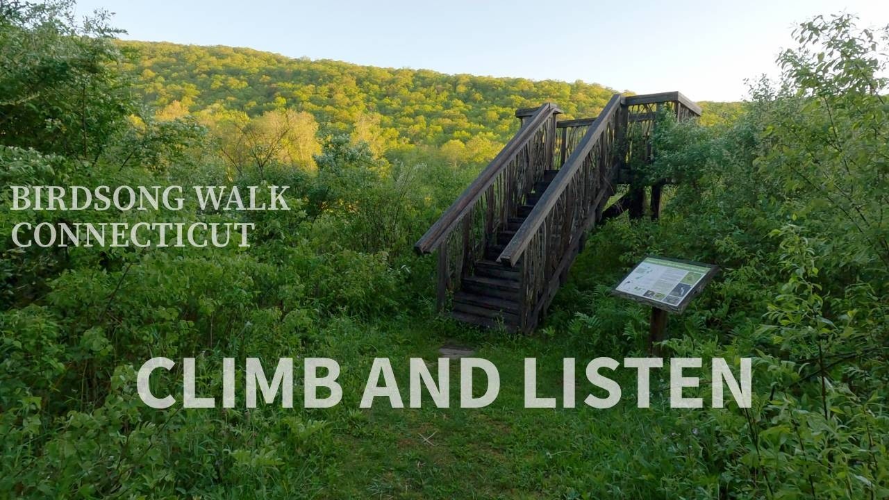 Hiking and Birdsong at Macricostas Preserve