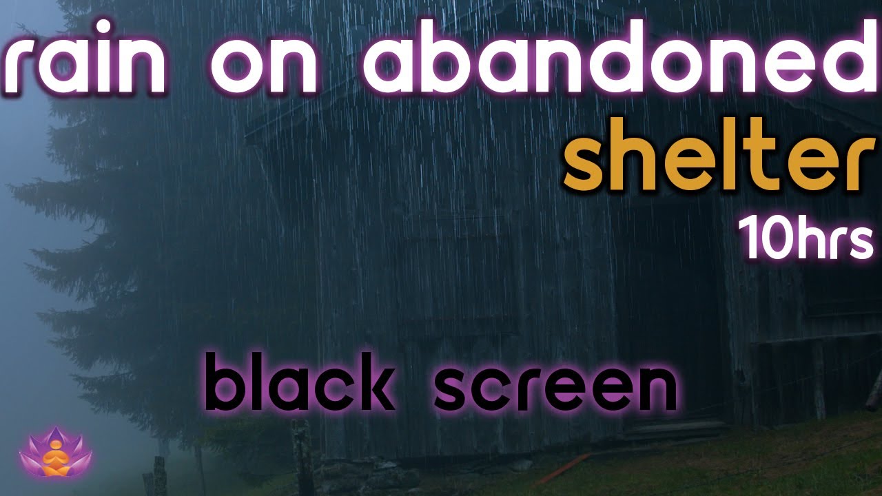 [Black Screen] Rain on Abandoned Shelter | Rain Ambience No Thunder | Rain Sounds for Sleeping