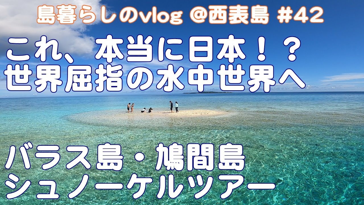 【西表島での日常】オススメツアー/バラス島/鳩間島/シュノーケリングツアー/Recommended tours in Iriomote Island/vlog/#42