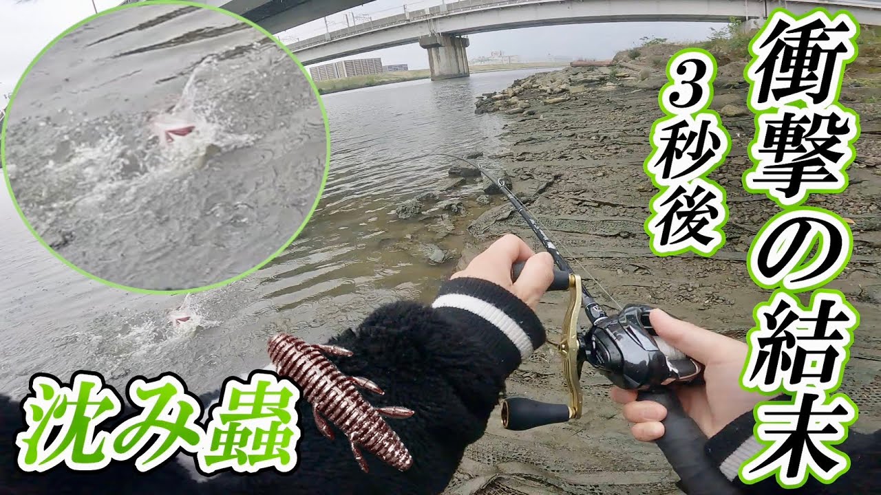 【荒川】初場所でも沈み蟲！全米が泣いた衝撃のラストを見逃すな！【バス釣り】【スモールマウスバス】