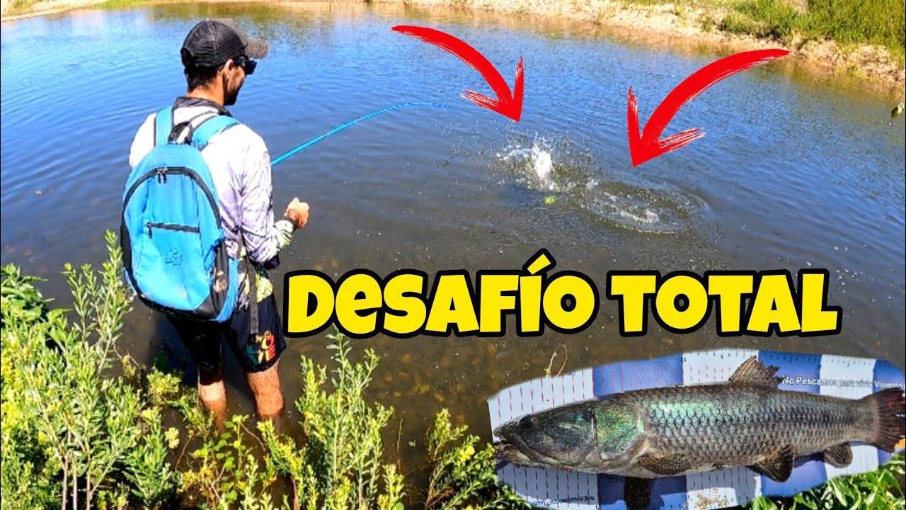 PESCA en URUGUAY, LOCURA TOTAL!!! LAS primeras TORNASOLES de la TEMPORADA