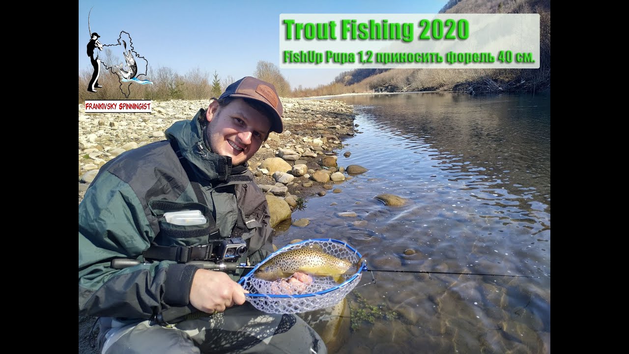 Trout Fishing 2020. FishUp Pupa 1,2 приносить форель 40 см.