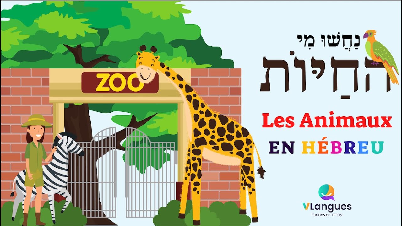 Les Animaux en HÉBREU - DEVINEZ ! - apprendre l’hébreu en s'amusant -parler l’hébreu-Oulpan VLangues