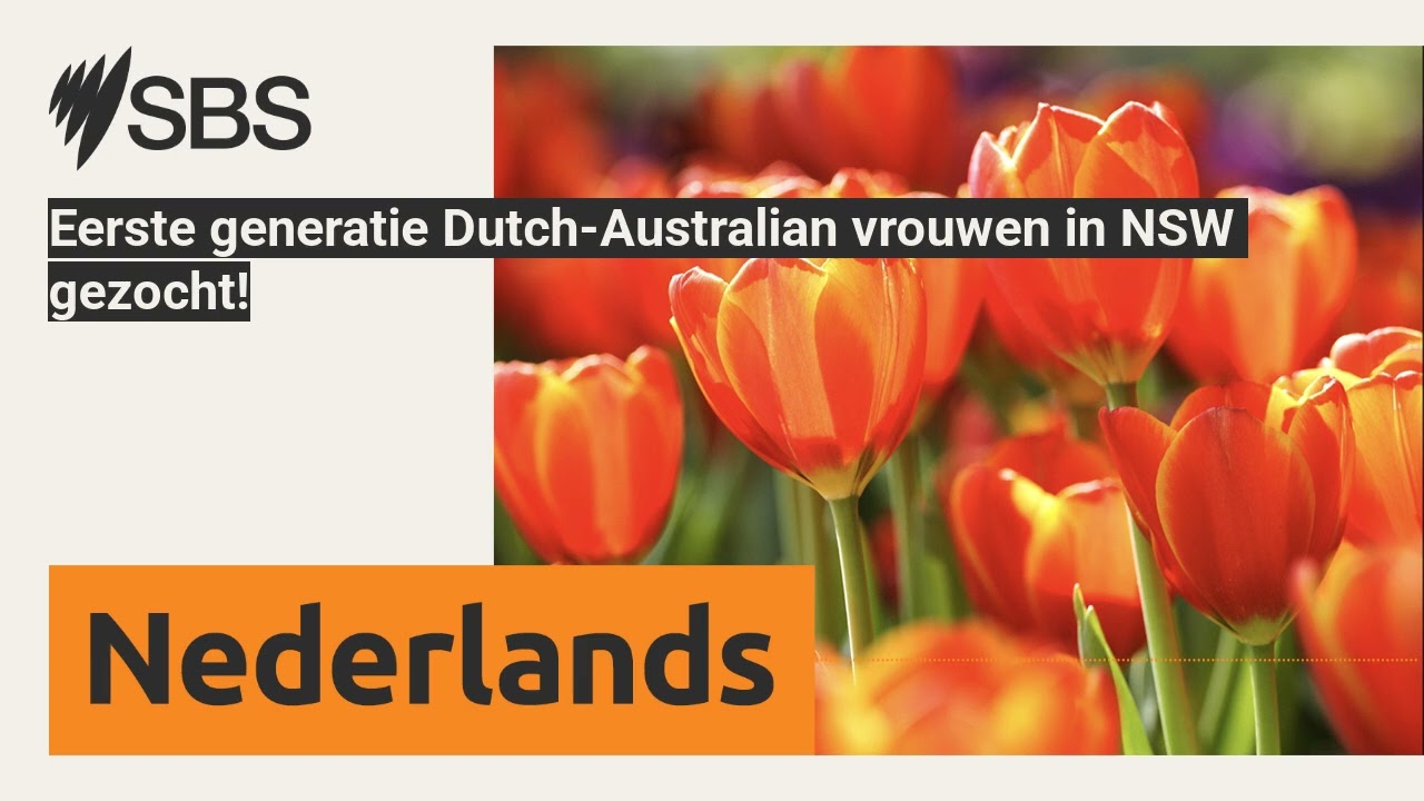 Eerste generatie Dutch-Australian vrouwen in NSW gezocht! | SBS Dutch - SBS Nederlands