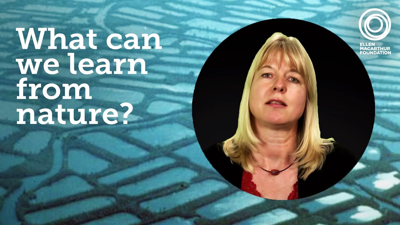 Katja Hansen - The Cradle to Cradle concept in detail