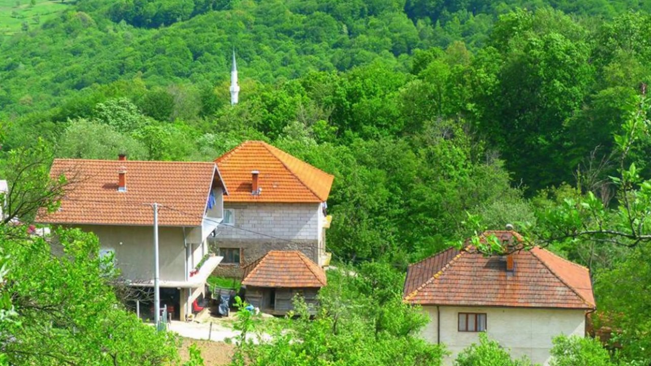 ŽUJE - ŠARCI