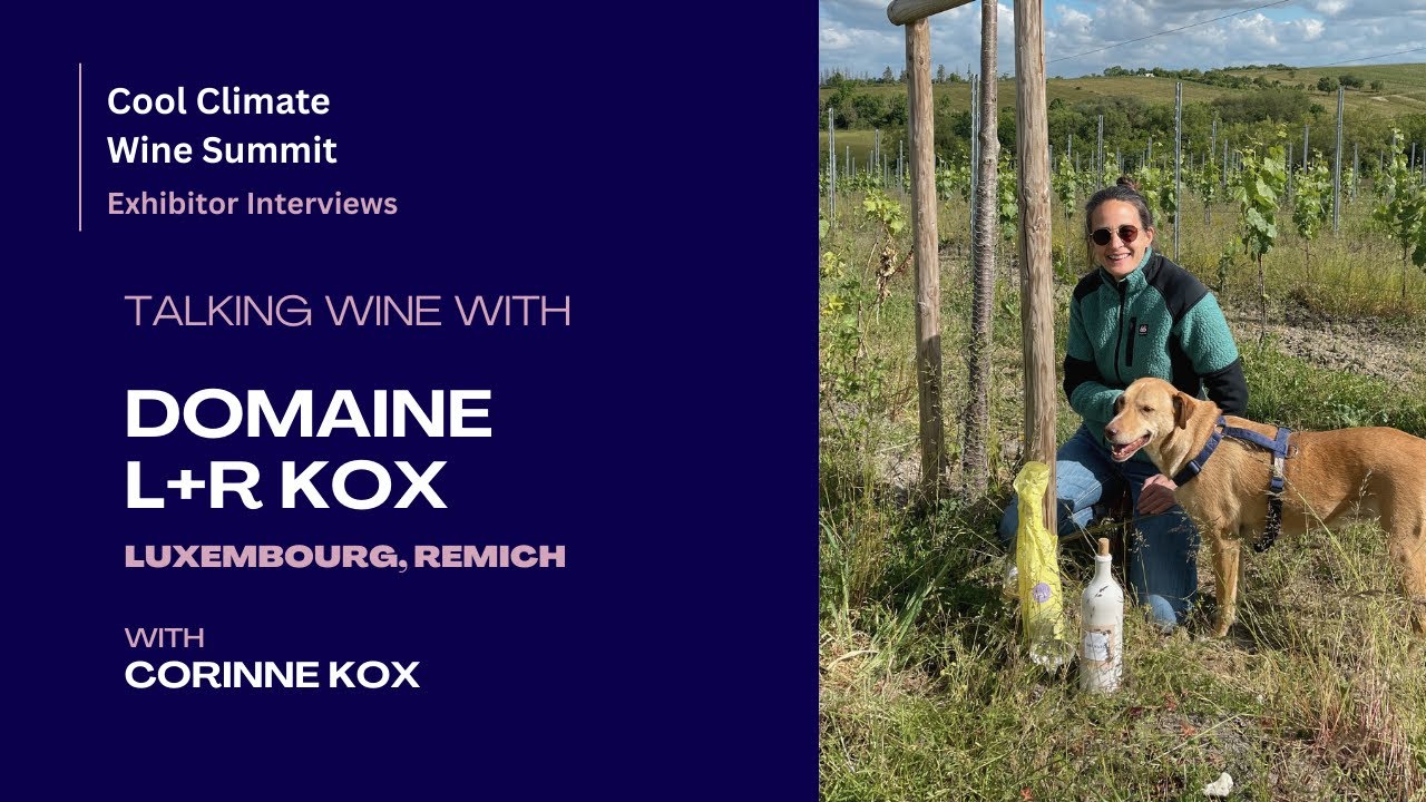 Domaine L+R Kox (Luxembourg, Remich) -  Cool Climate Wine Summit Exhibitor Interviews