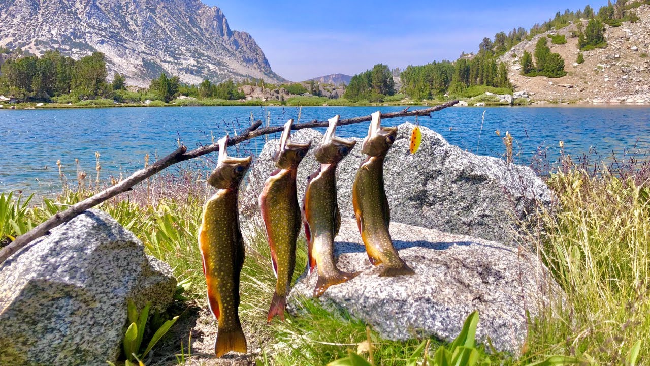 Wild Brook Trout CATCH AND COOK In High Elevation Mountain Lakes! | Fishing The Eastern Sierras