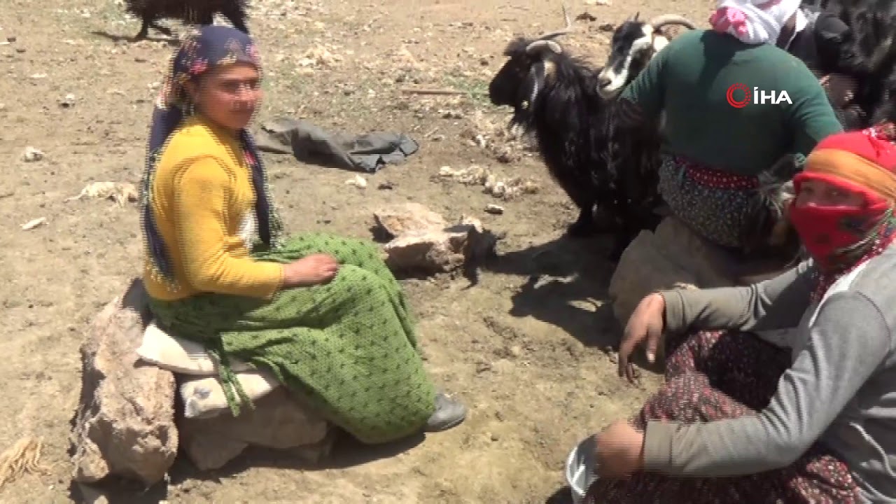 Siirtli G&ouml;&ccedil;erlerin Zorlu Yayla Yaşamı