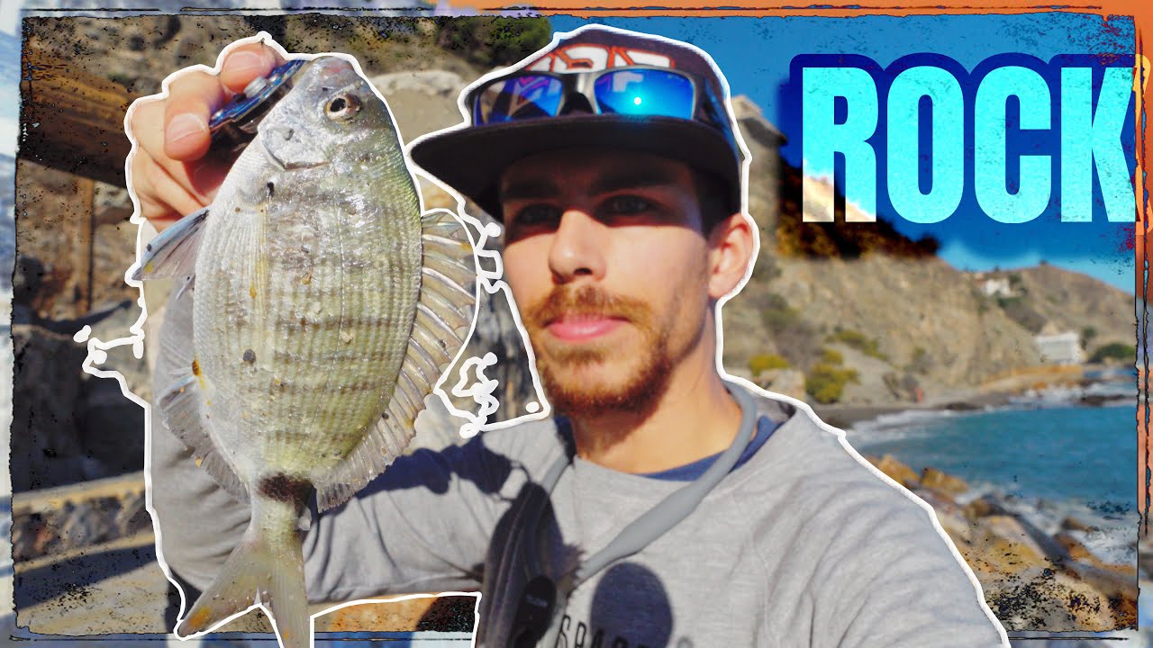 🎣 ¡La PESCA a ROCKFISHING MOLA!