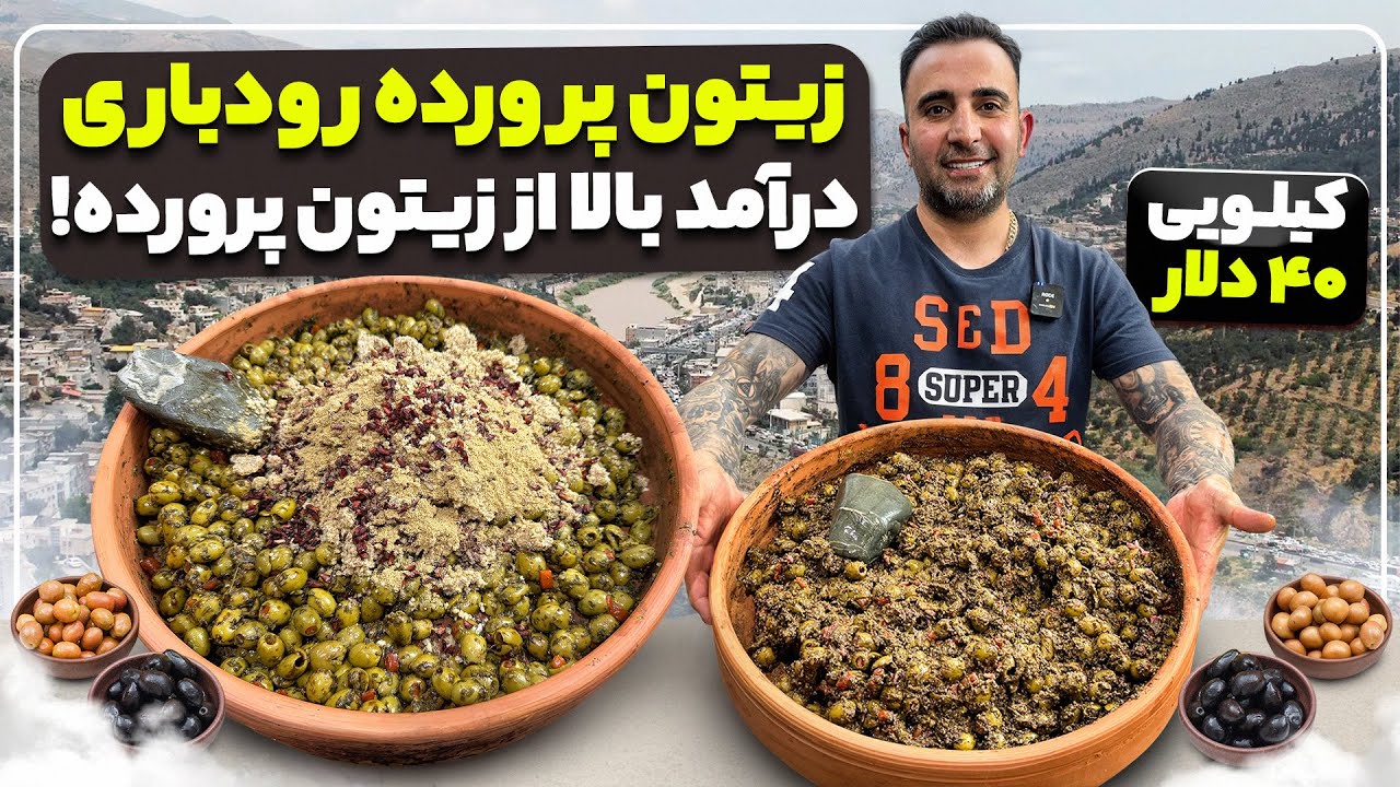 Rudbari Zeytoon Parvardeh | Authentic Persian Olive Delightکسب درآمد از از زیتون پرورده جوادجوادی