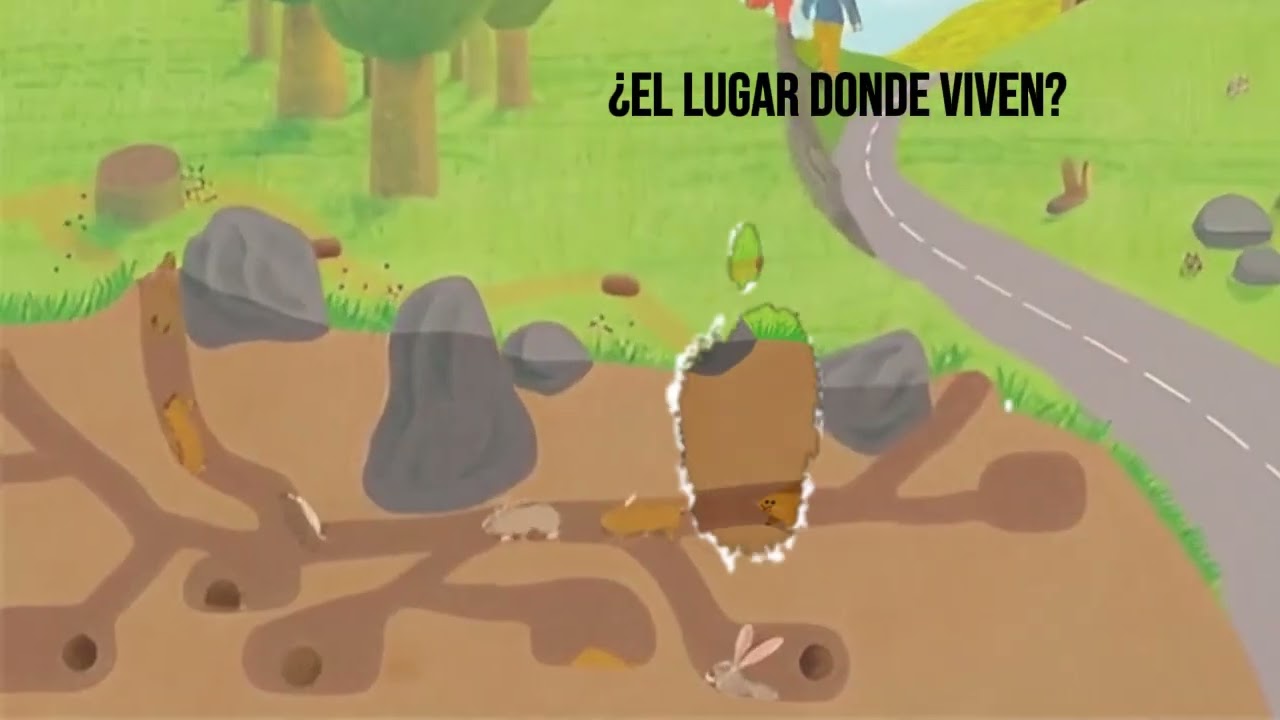 Conejario Booktrailer