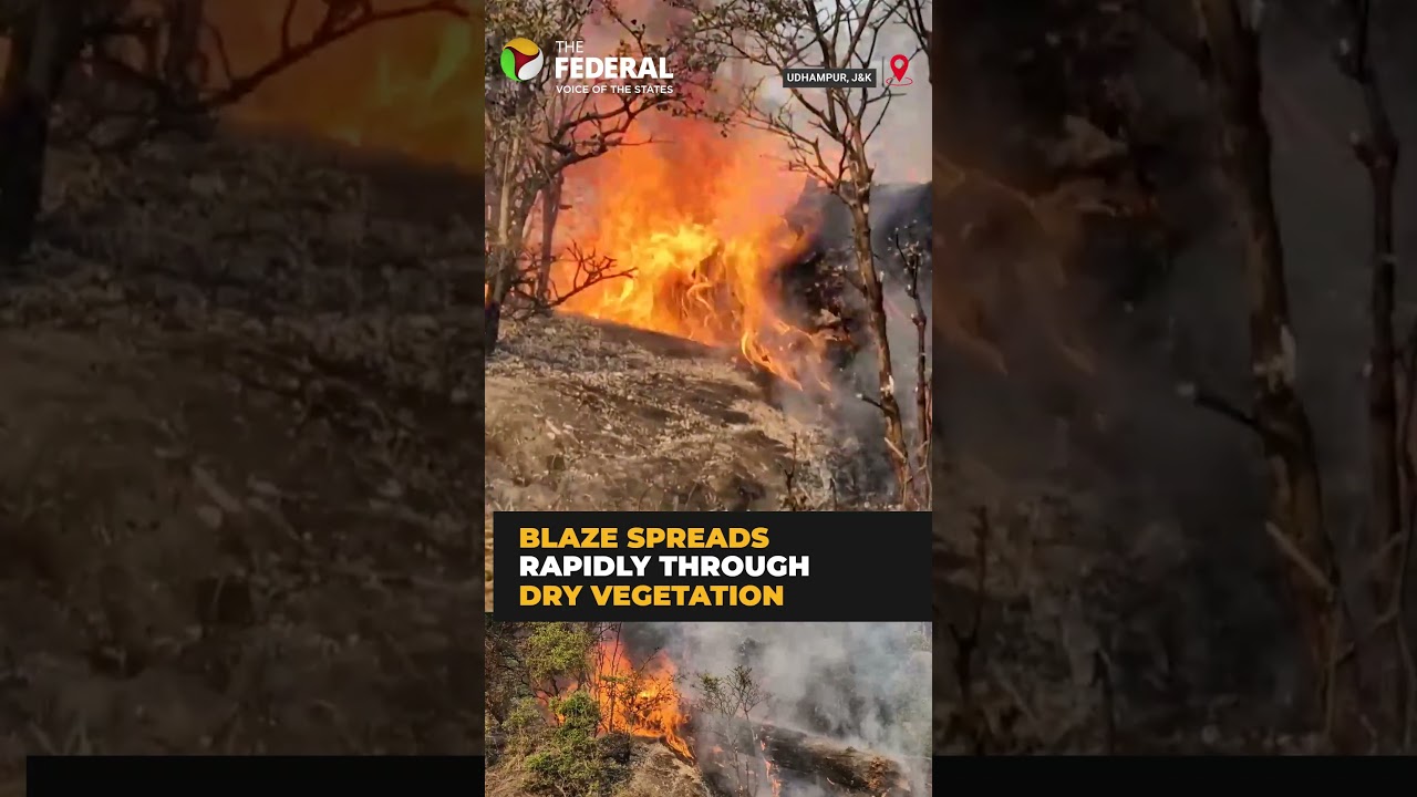 Massive forest fire erupts in J&K amid heatwave | #shorts