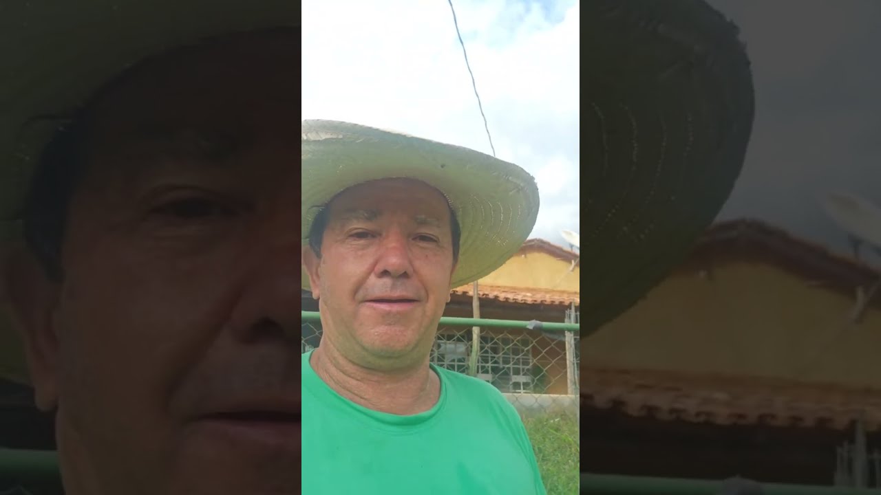 fui fazenda Walter Marques  está ao vivo!
