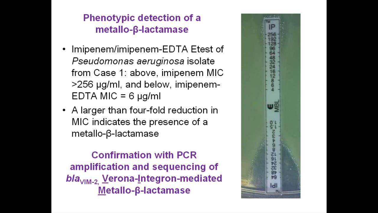 Treating Difficult Infections: XDR Pseudomonas aeruginosa by Federico Perez, MD