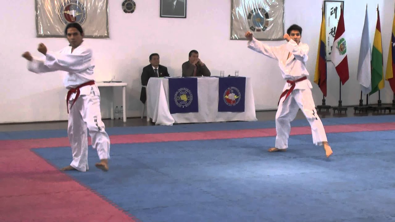 Examen 1er GUP cinturón punta negra Taekwondo ITF IPTI: Luissi Fernández, Alvaro Doomer. 7 dic 2013