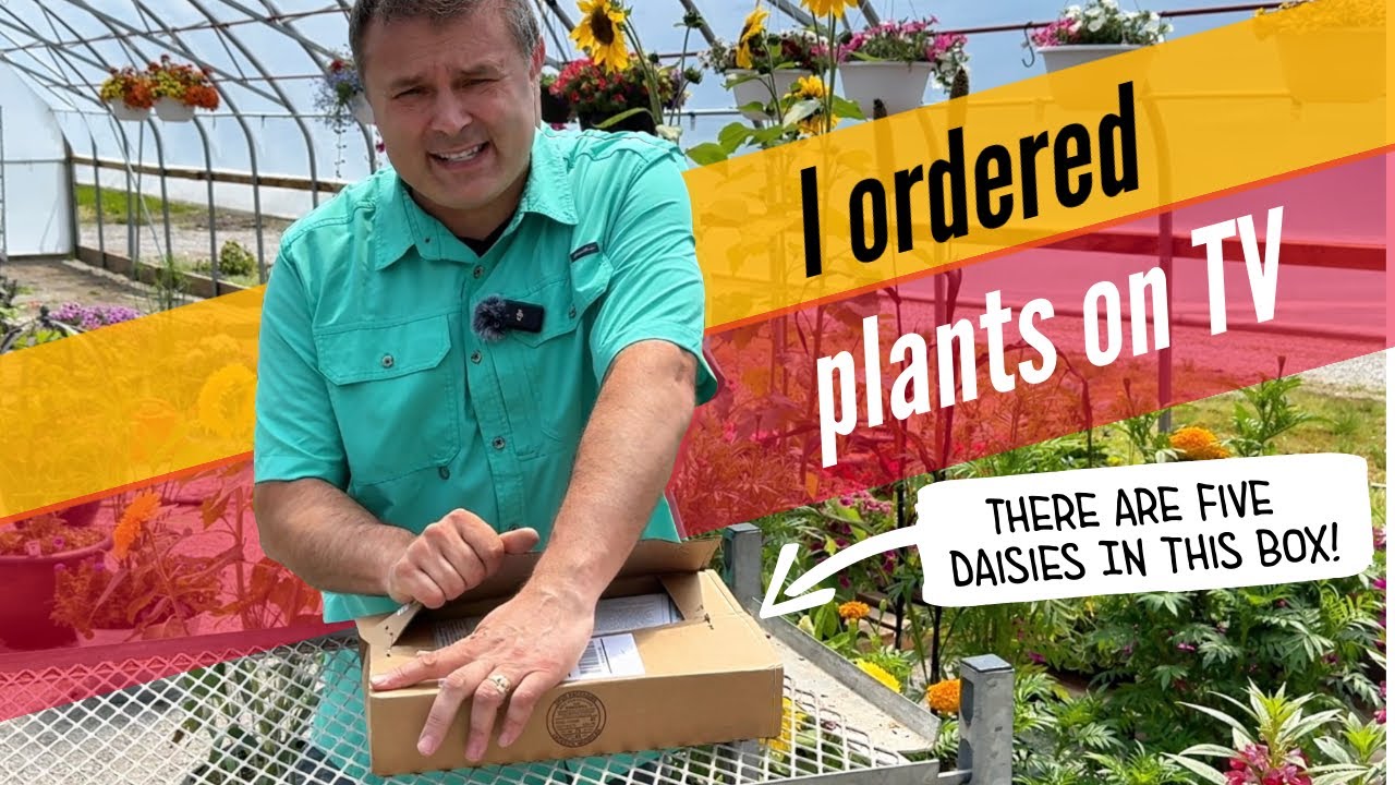 Unboxing Plants from QVC