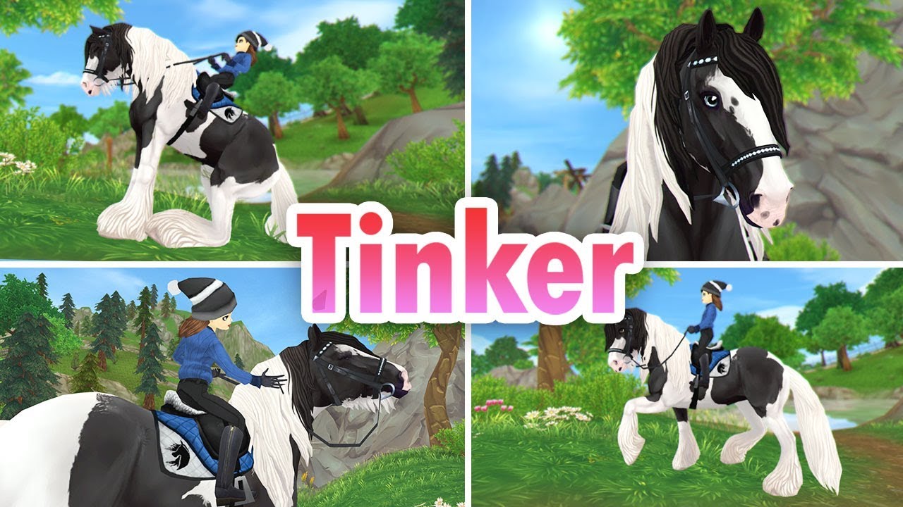 Ich liebe sie! ❤️ Tinker Pferdekauf SSO
