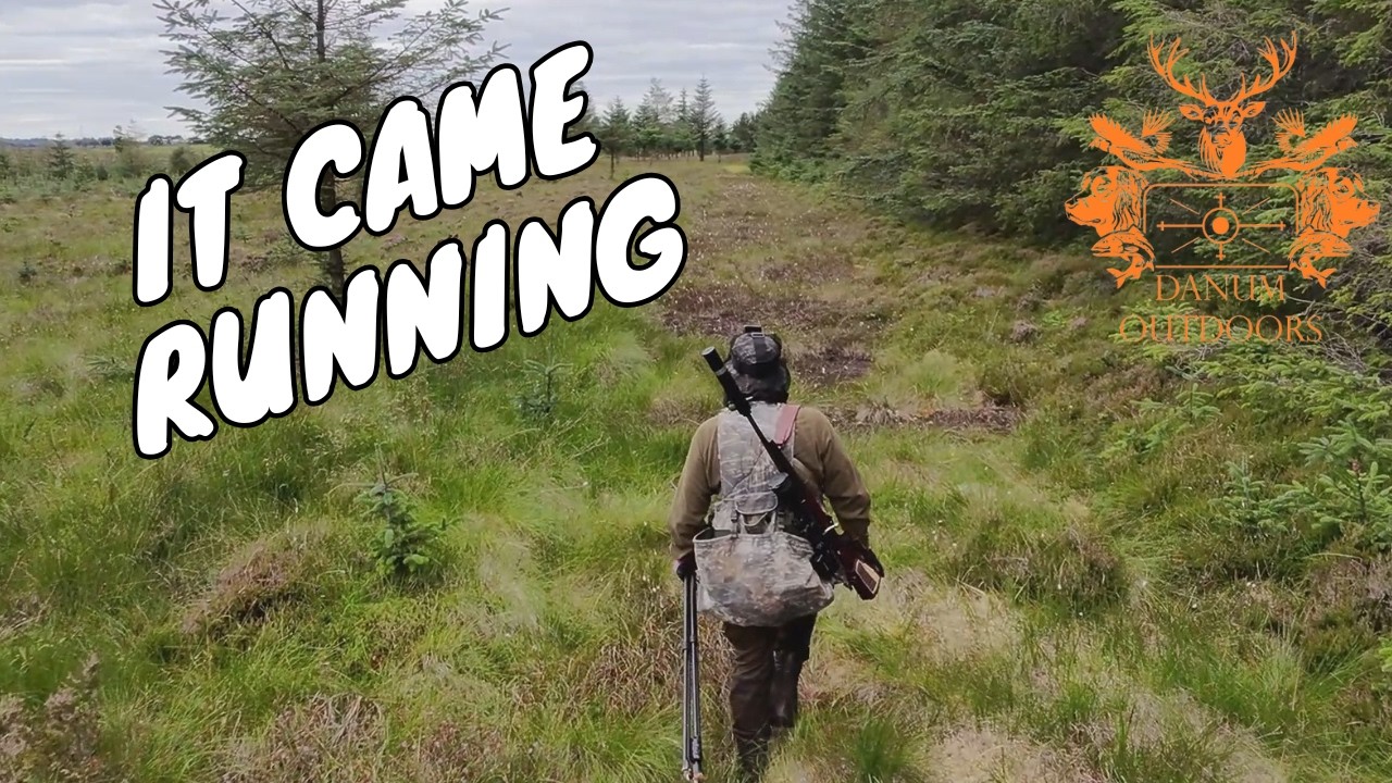 Hunting the Roe Rut