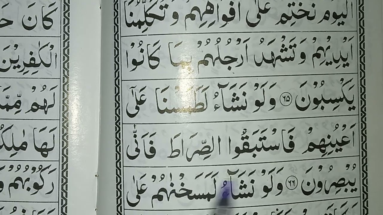 Surah Yaseen & Surah Mulk beautiful recitation by Hafiz Shahnawaz Hussain 