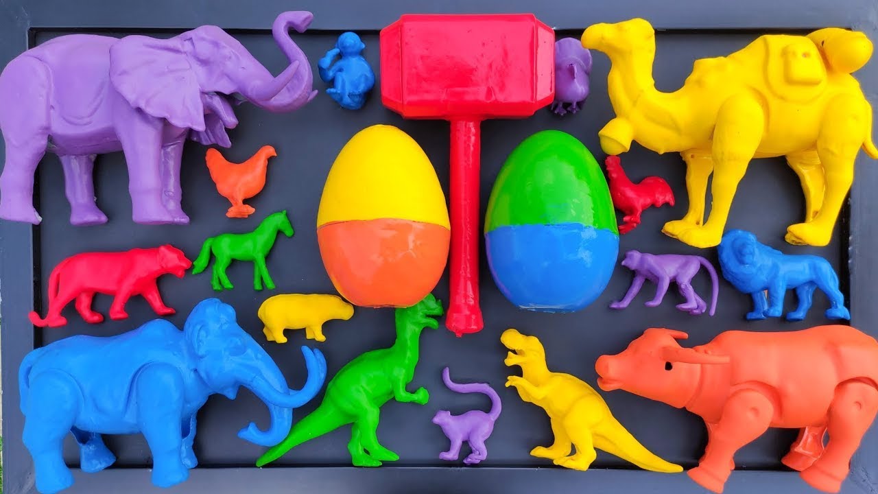 Membersihkan gajah, sapi, bebek, angsa, simpanse, zebra, singa, unta, dinosaurus, buaya, kerbau