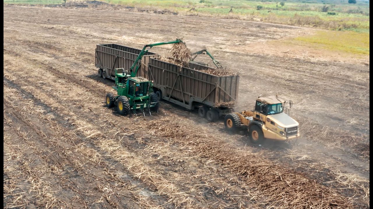 Desafios e Oportunidades da Indústria Açucareira em Moçambique: O Caso de Sofala