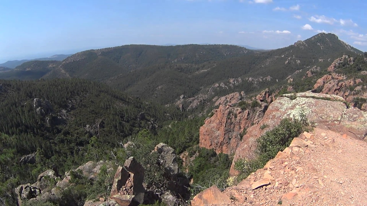 VTT dans la forêt domaniale de l'Esterel