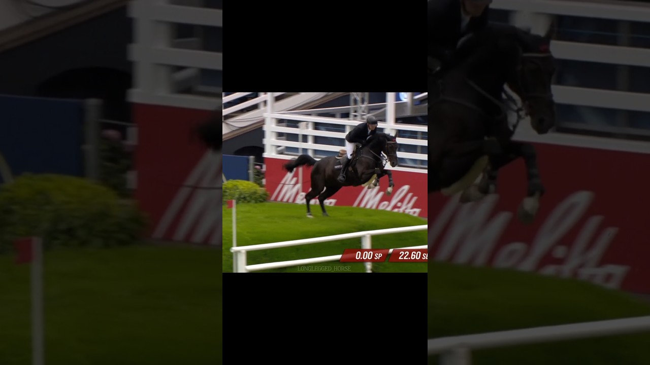 Who put these here? 😮&zwj;💨 #springreiten #equestrian #horse #pferde #horsejumping #horseriding #derby #