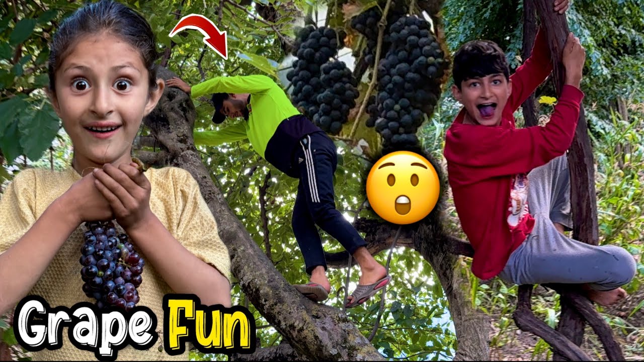 Farewell to My Friend + Grape Picking Adventure in Kashmir Valley 🍇 | ShowBoo