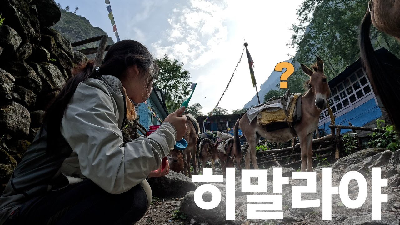 히말라야에서 만난 당나귀에게 만두주기 [히말라야2]