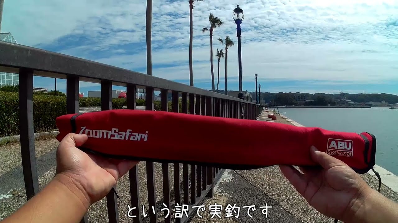 【ズームサファリ805M】ニュータックルで出勤前釣行【アブガルシア】