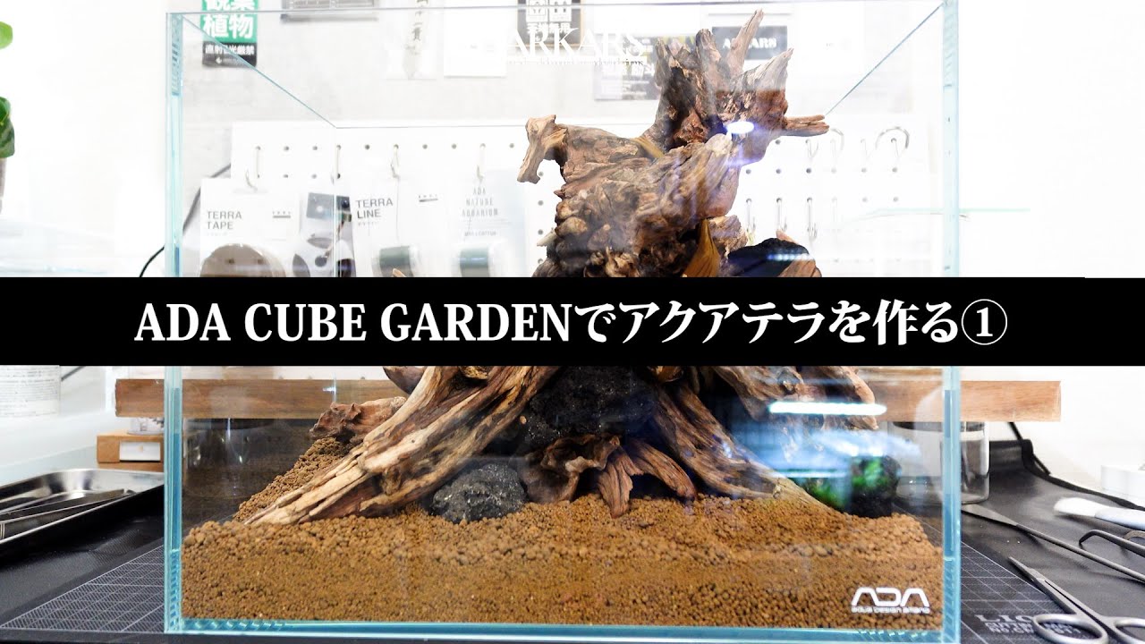 ARKARS_060「ADA CUBE GARDENでアクアテラを作る①」