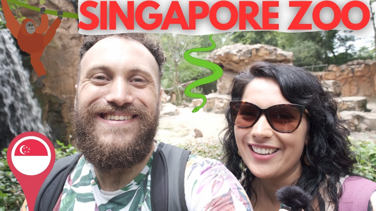 Singapore 🇸🇬 Zoo 2023 | The Best In The World?